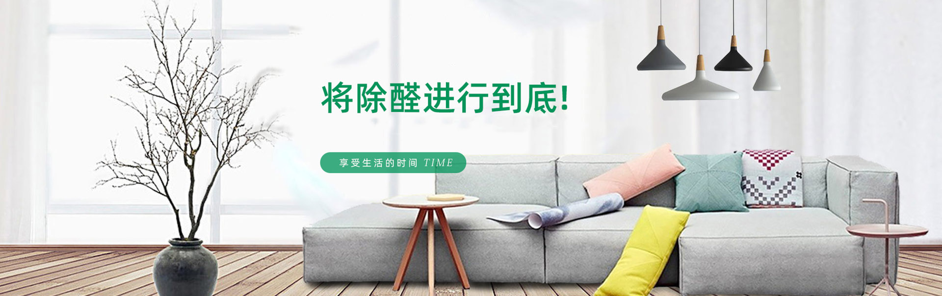 山東丹參,丹參苗,臨沂丹參苗,泰安丹參,青島丹參苗